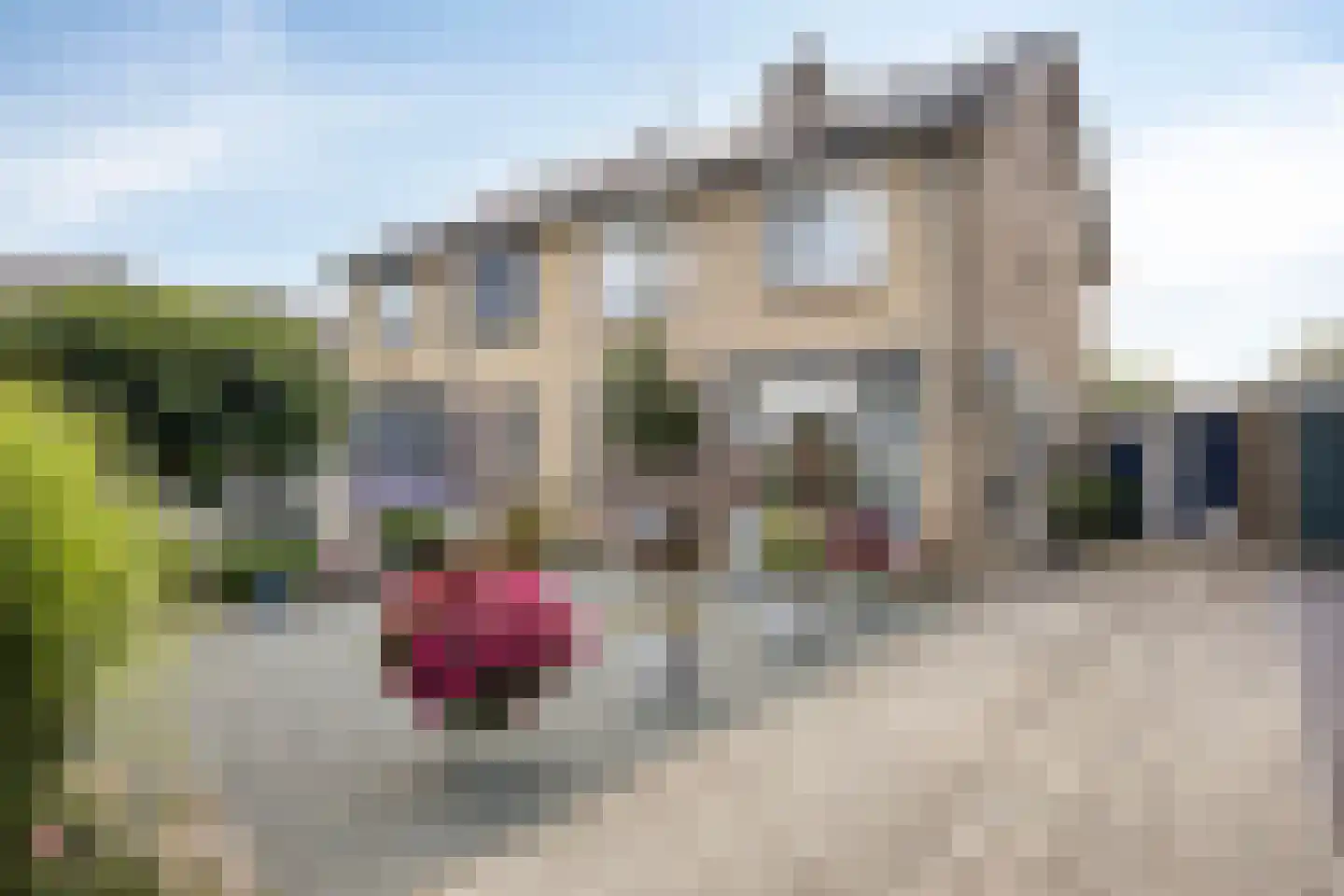Genechtstraat 9 Druten thumbnail 10