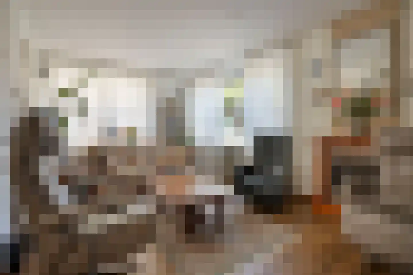 Genechtstraat 9 Druten thumbnail 12