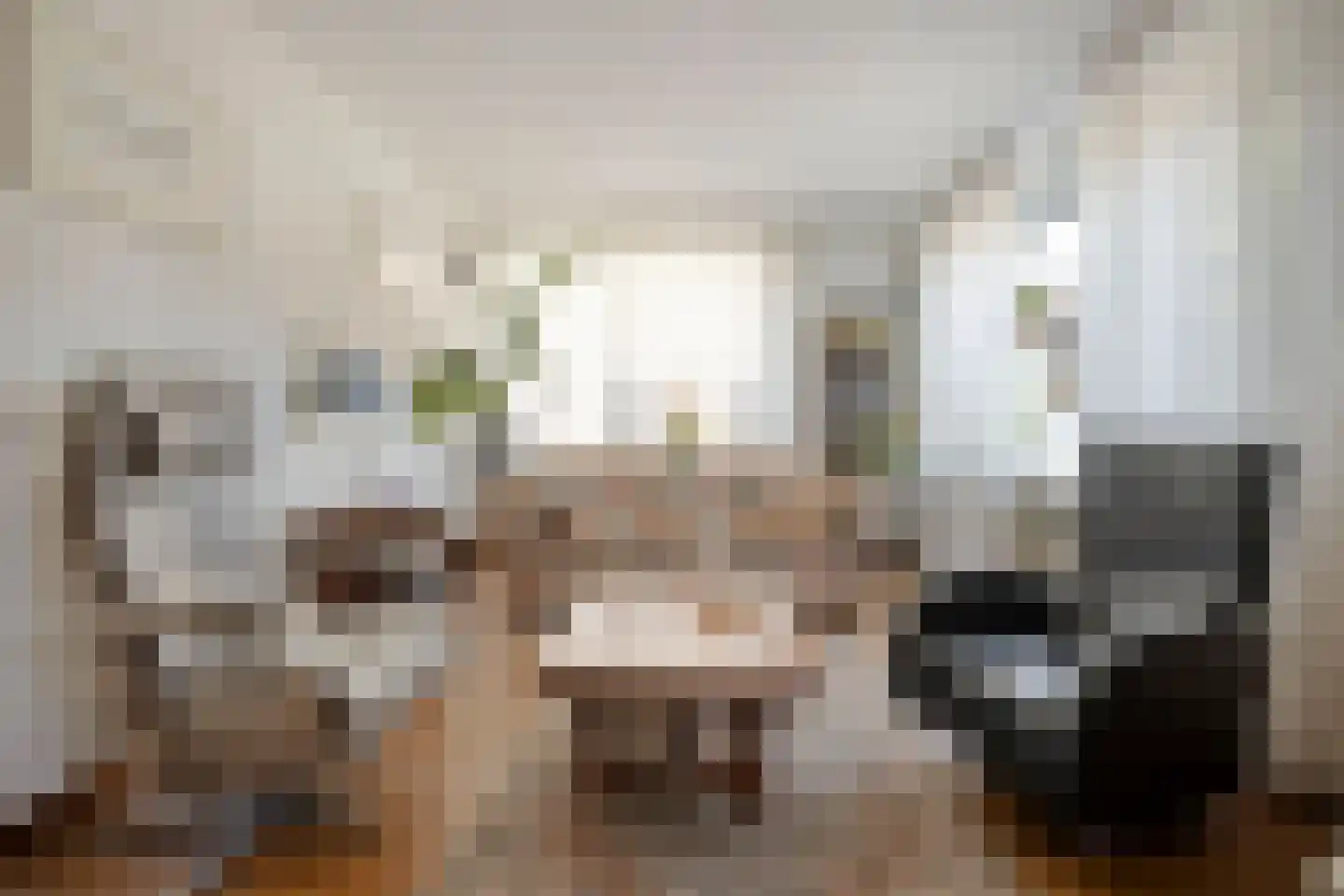 Genechtstraat 9 Druten thumbnail 13