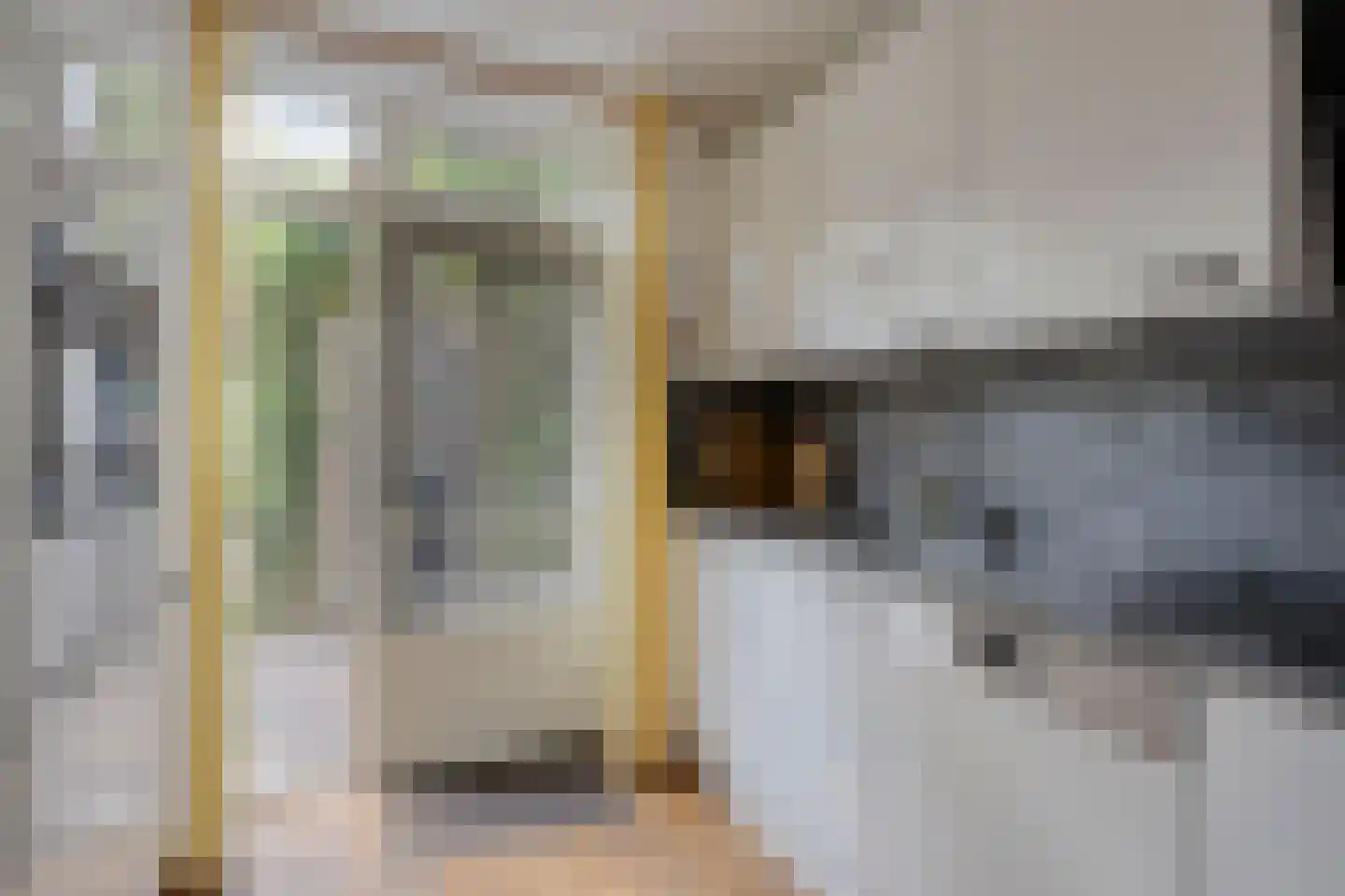 Genechtstraat 9 Druten thumbnail 19