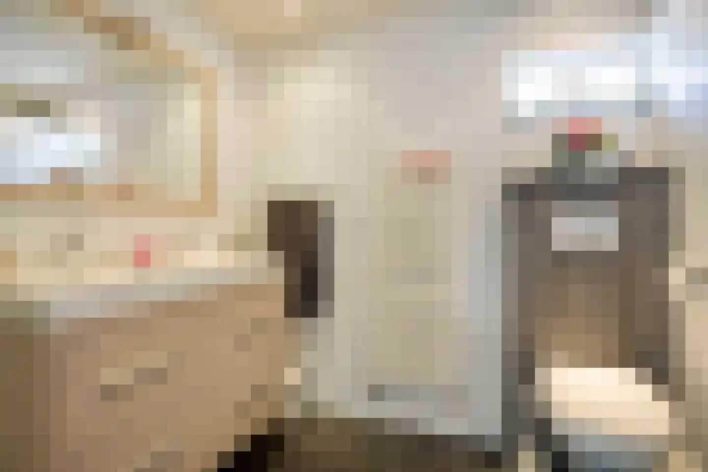 Genechtstraat 9 Druten thumbnail 26