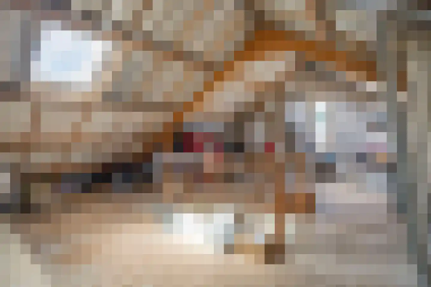 Genechtstraat 9 Druten thumbnail 28