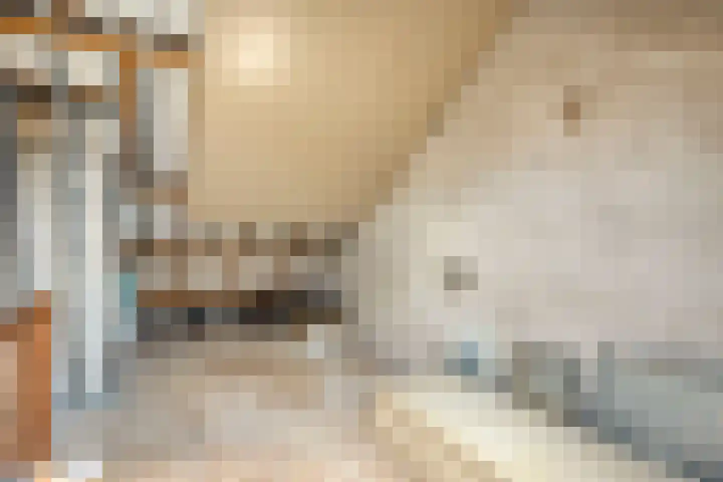 Genechtstraat 9 Druten thumbnail 29