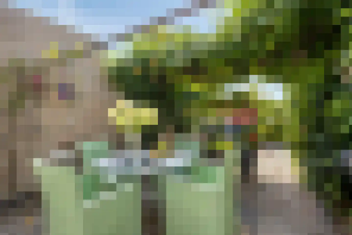 Genechtstraat 9 Druten thumbnail 32