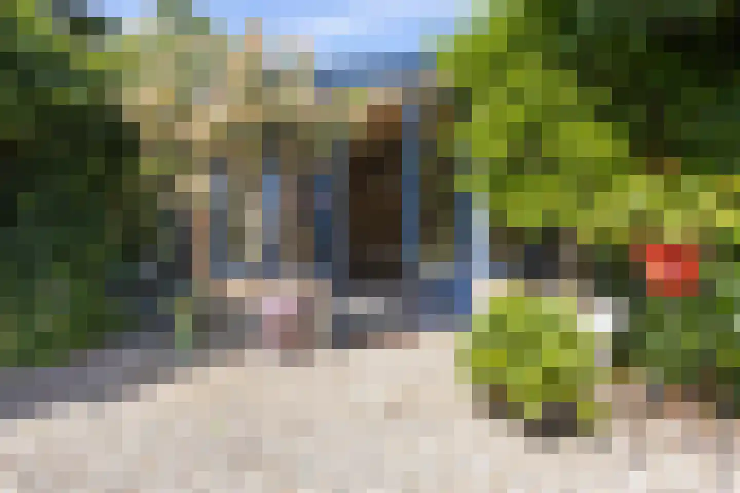 Genechtstraat 9 Druten thumbnail 34