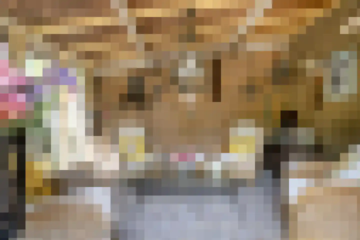Genechtstraat 9 Druten thumbnail 35