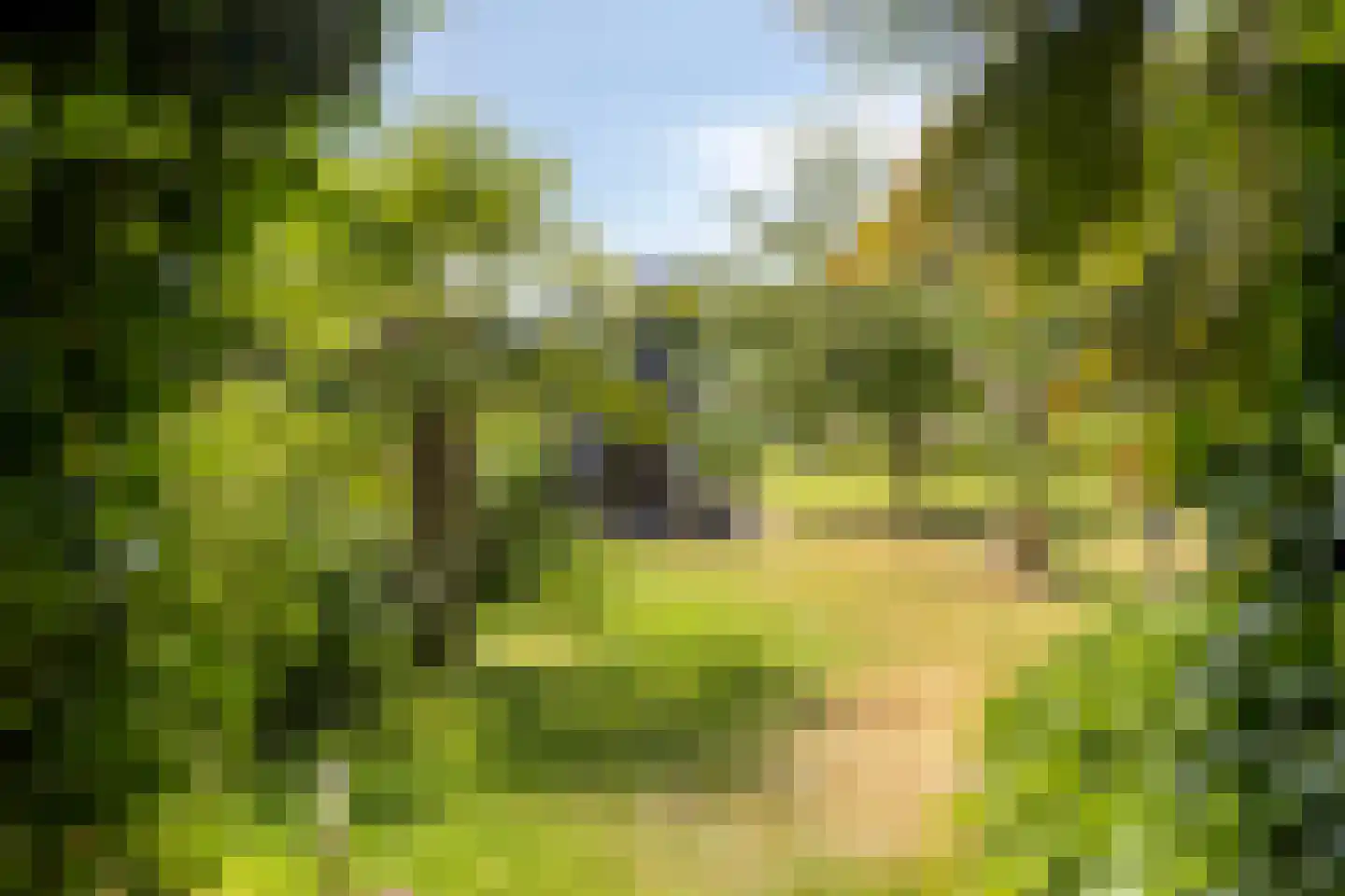 Genechtstraat 9 Druten thumbnail 36