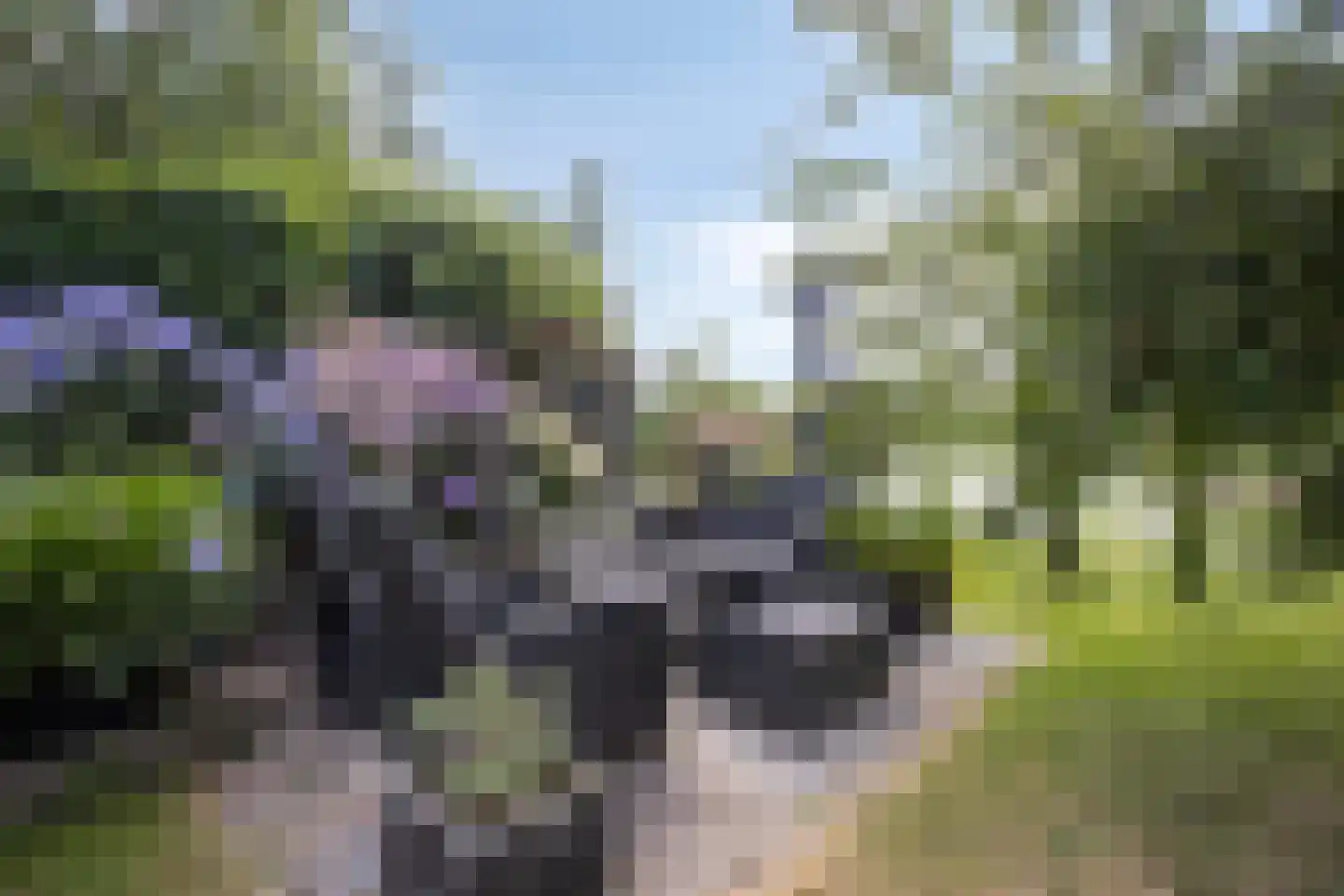 Genechtstraat 9 Druten thumbnail 39