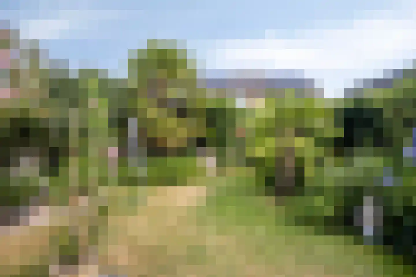 Genechtstraat 9 Druten thumbnail 40