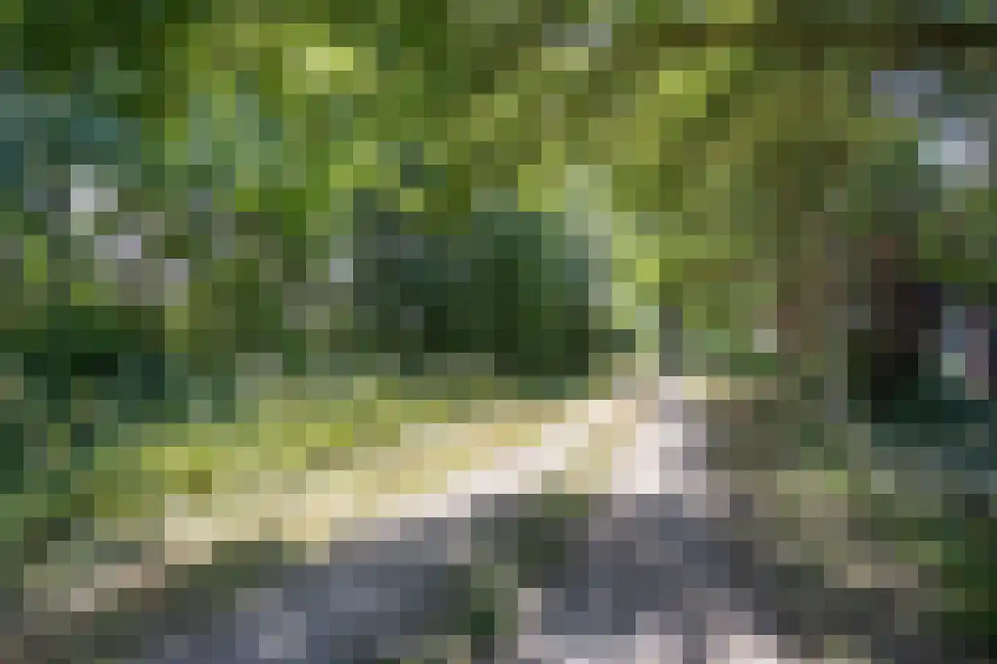 Genechtstraat 9 Druten thumbnail 48