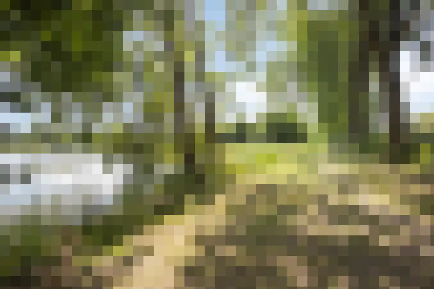 Genechtstraat 9 Druten thumbnail 49