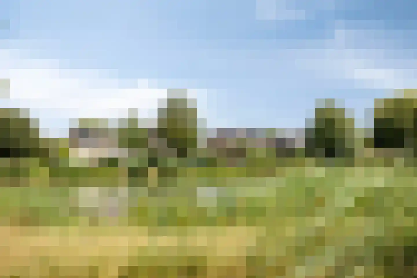 Genechtstraat 9 Druten thumbnail 51