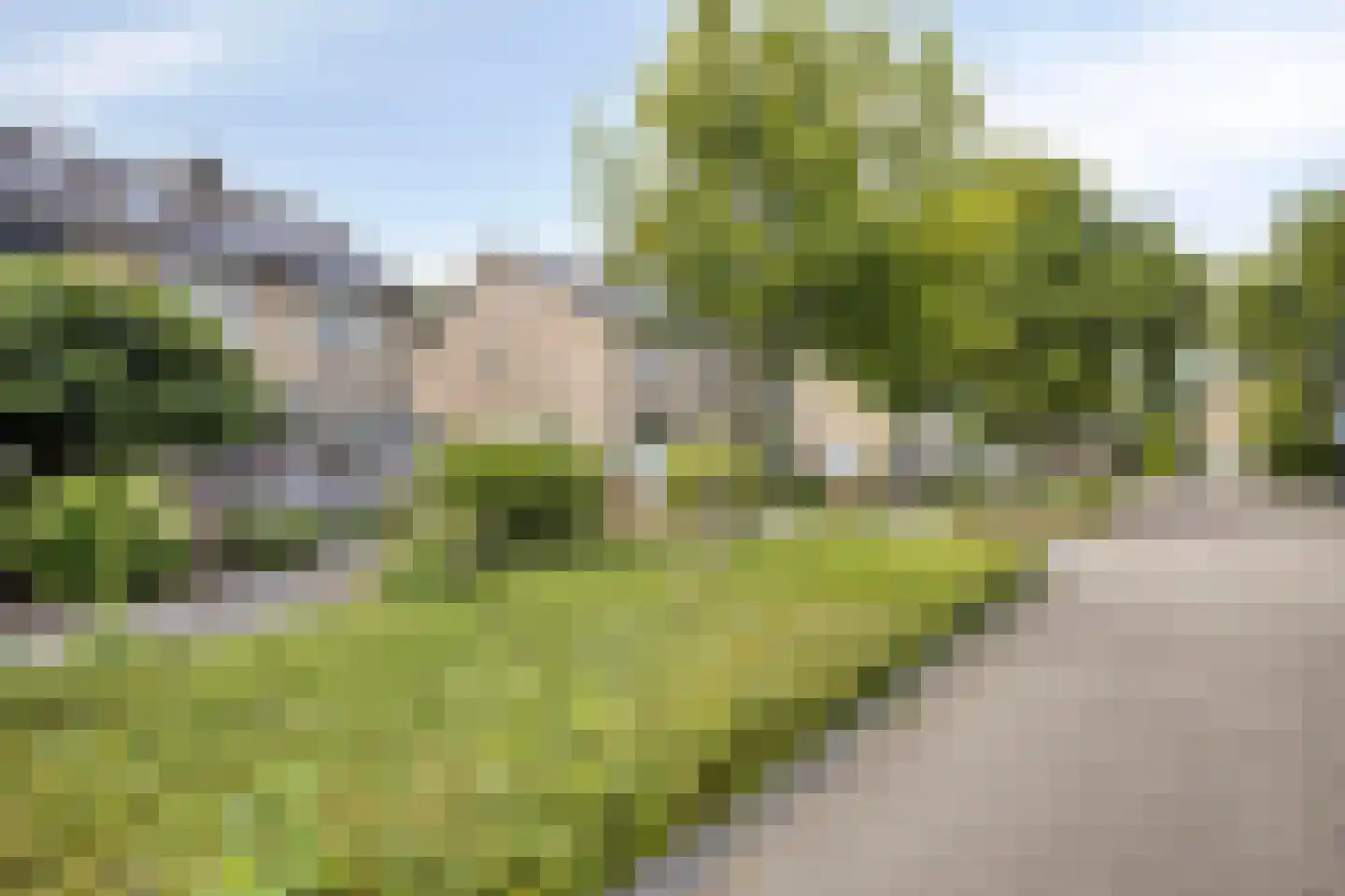 Genechtstraat 9 Druten thumbnail 6