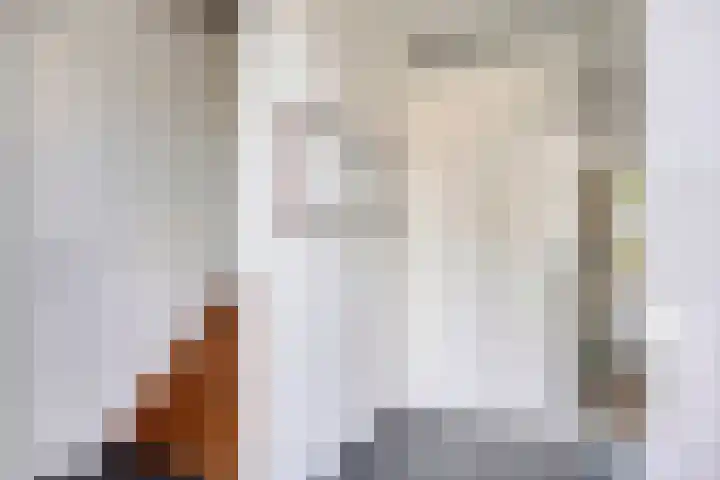 Geneesherenhof 15 Oss thumbnail 16