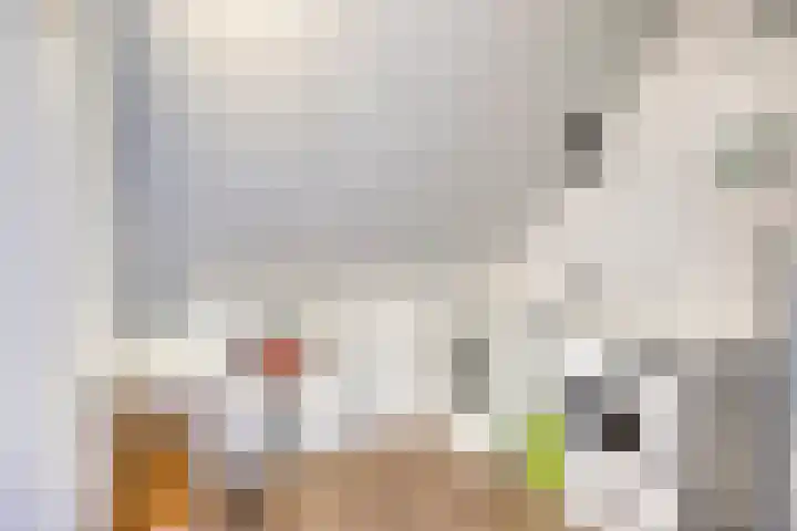 Geneesherenhof 15 Oss thumbnail 31