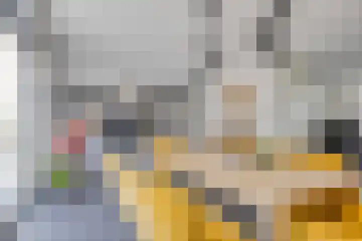 Geneesherenhof 15 Oss thumbnail 8