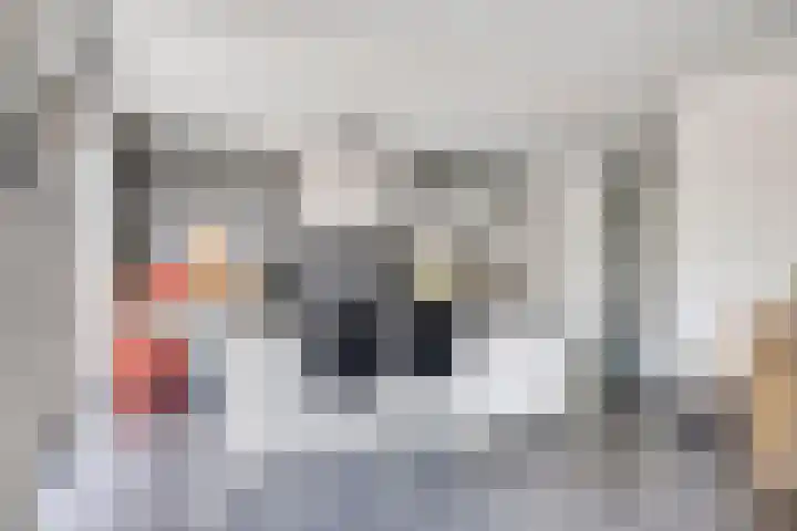 Geneesherenhof 15 Oss thumbnail 9