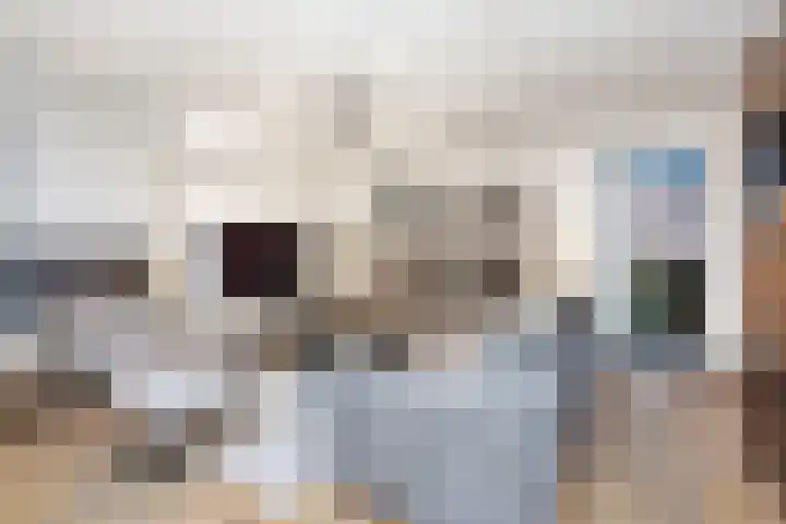 Geneesherenhof 45 Oss thumbnail 10