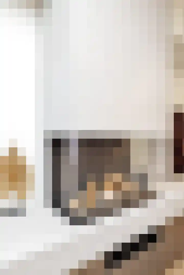 Geneesherenhof 45 Oss thumbnail 11