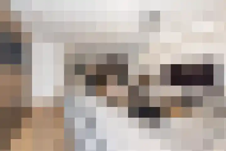 Geneesherenhof 45 Oss thumbnail 13