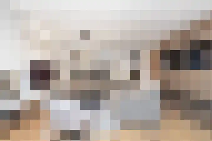 Geneesherenhof 45 Oss thumbnail 14