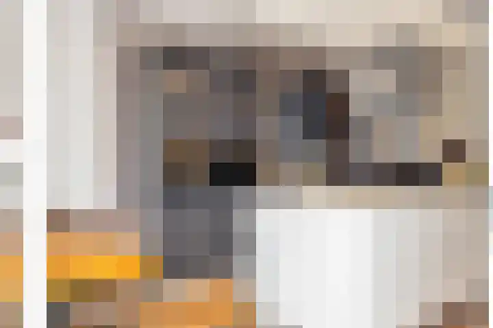 Geneesherenhof 45 Oss thumbnail 15