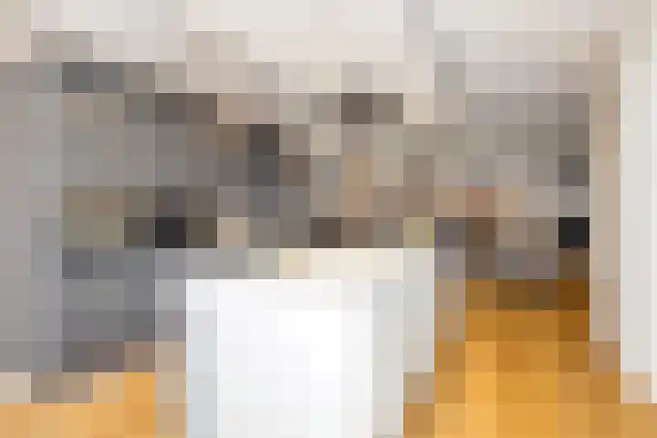 Geneesherenhof 45 Oss thumbnail 18
