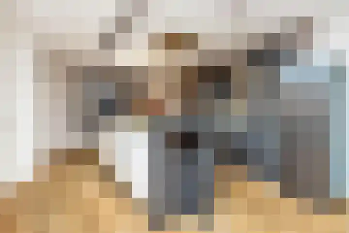 Geneesherenhof 45 Oss thumbnail 20