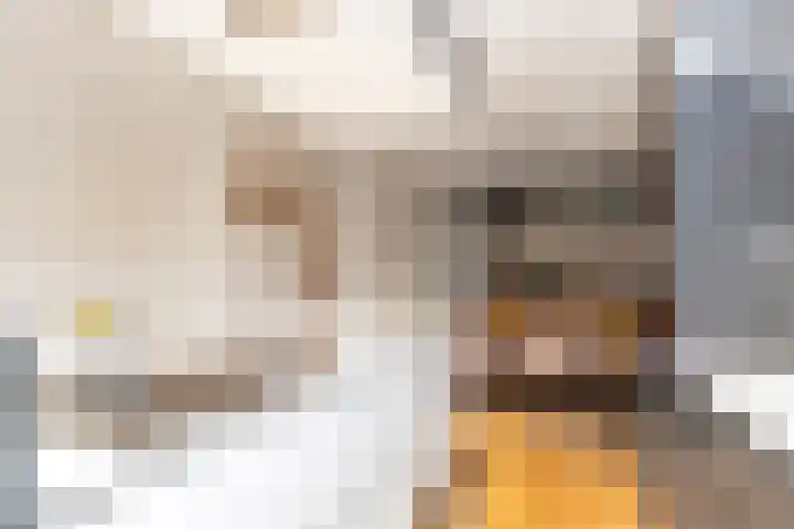Geneesherenhof 45 Oss thumbnail 21