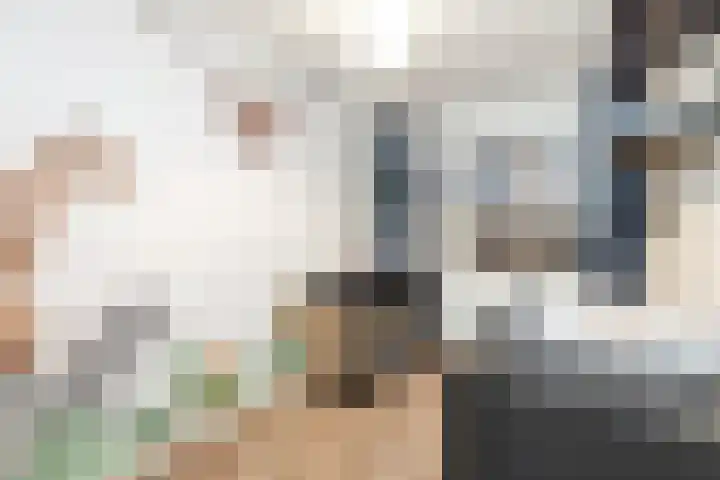 Geneesherenhof 45 Oss thumbnail 31