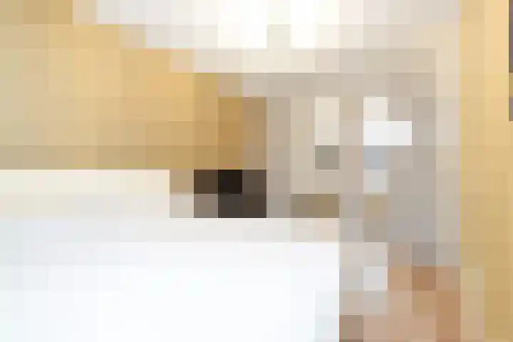 Geneesherenhof 45 Oss thumbnail 36