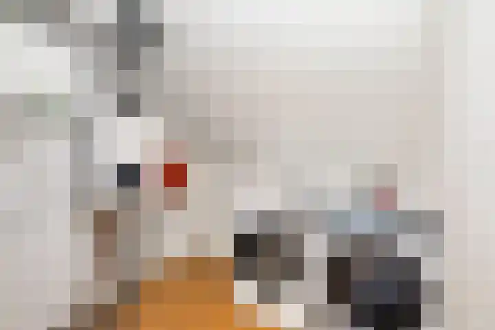 Geneesherenhof 45 Oss thumbnail 44