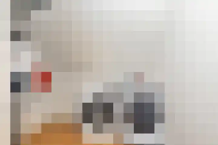 Geneesherenhof 45 Oss thumbnail 45