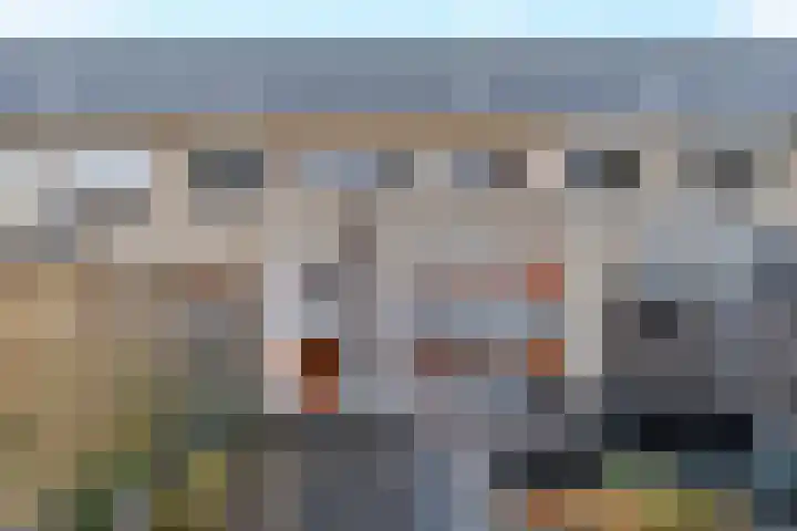 Geneesherenhof 45 Oss thumbnail 5