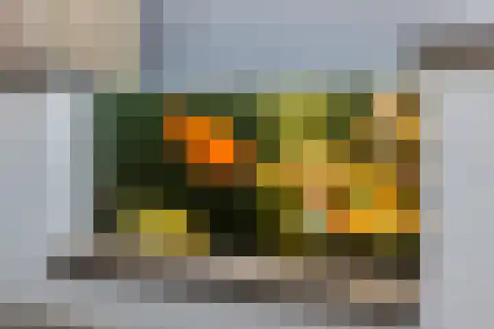 Geneesherenhof 45 Oss thumbnail 50