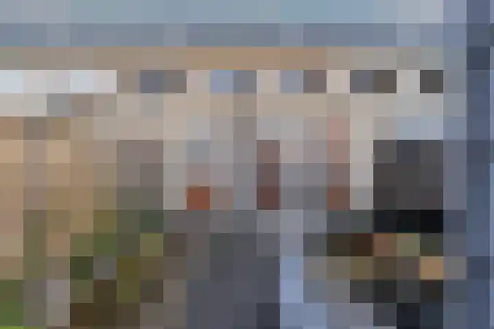 Geneesherenhof 45 Oss thumbnail 52
