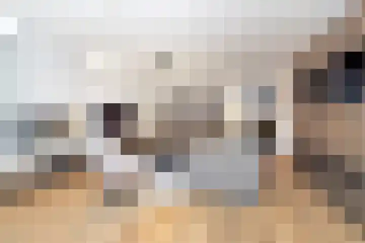 Geneesherenhof 45 Oss thumbnail 9