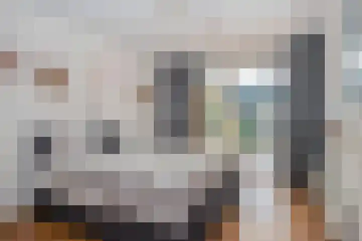 Geneind 3 Beek thumbnail 21