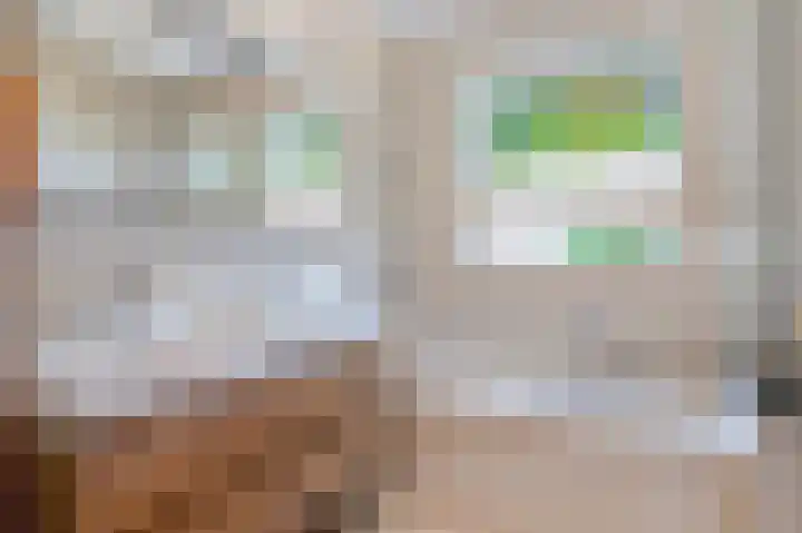 Geneind 3 Beek thumbnail 22