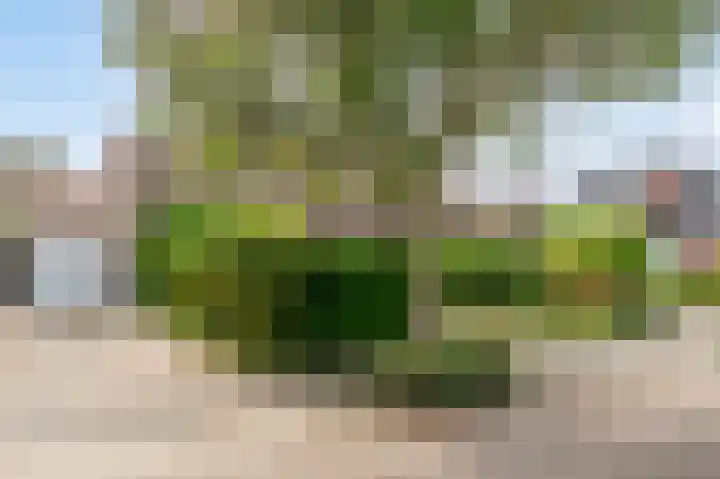 Geneind 3 Beek thumbnail 32