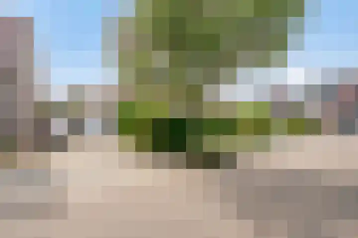 Geneind 3 Beek thumbnail 33