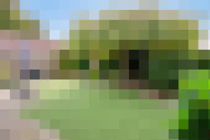 Geneind 3 Beek thumbnail 6