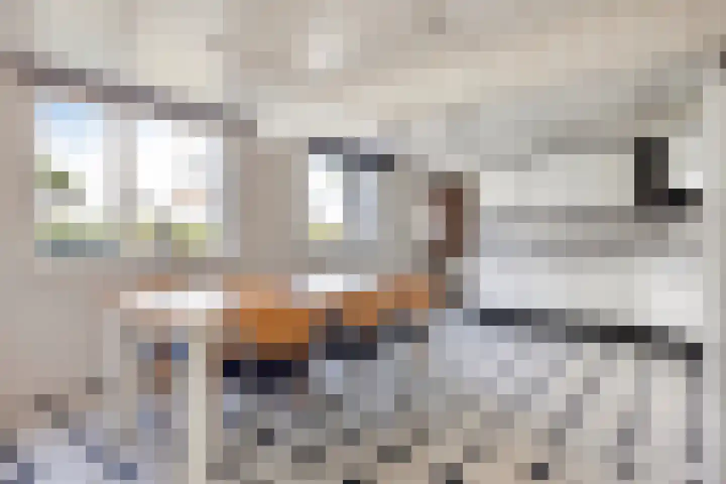 Geneinde 19 Maastricht thumbnail 12