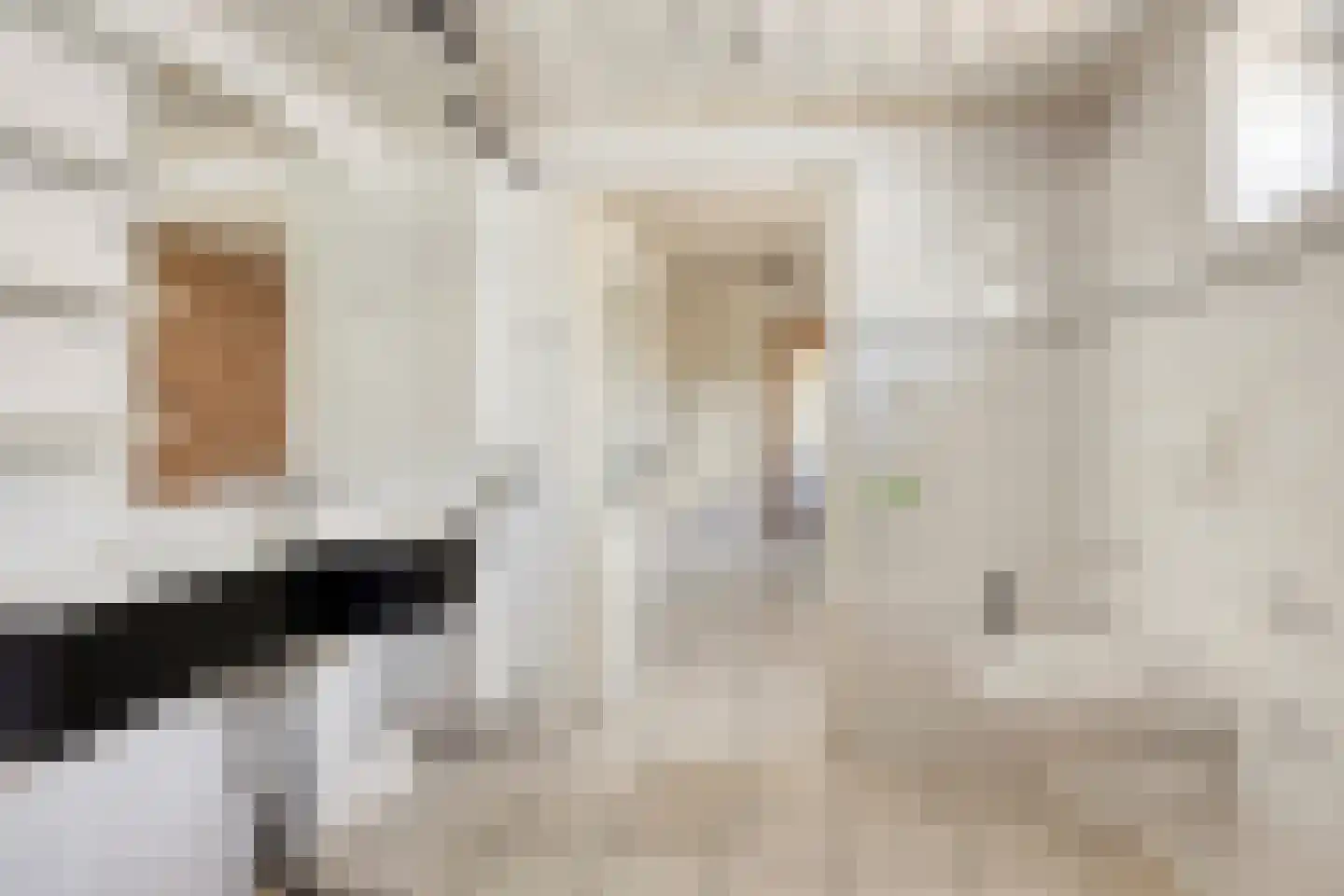 Geneinde 19 Maastricht thumbnail 16