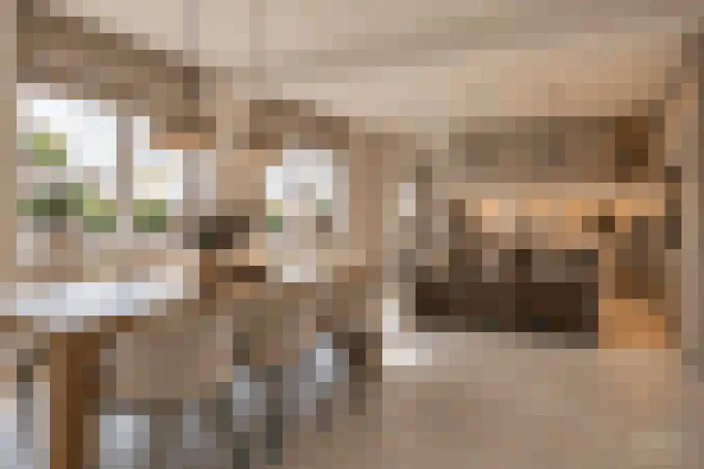 Geneinde 19 Maastricht thumbnail 27
