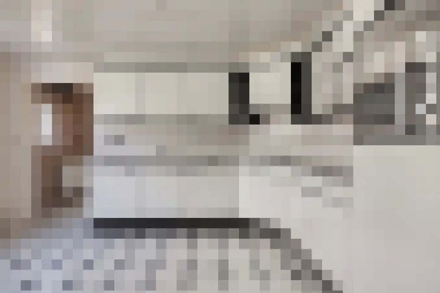 Geneinde 19 Maastricht thumbnail 4