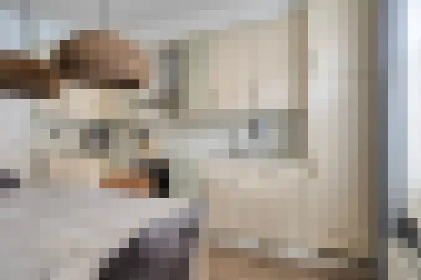 Geneinde 48 Maastricht thumbnail 12