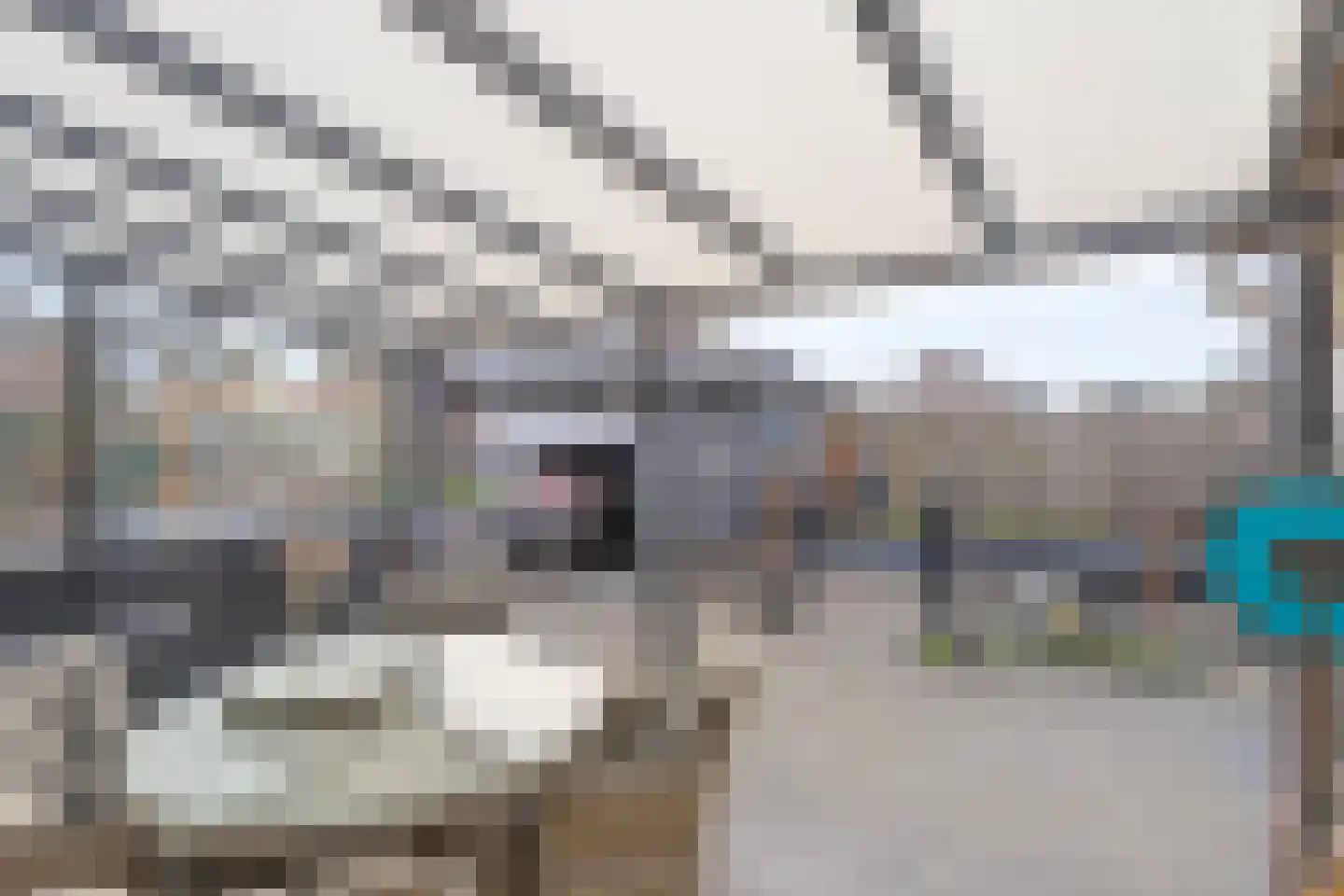 Geneinde 48 Maastricht thumbnail 21