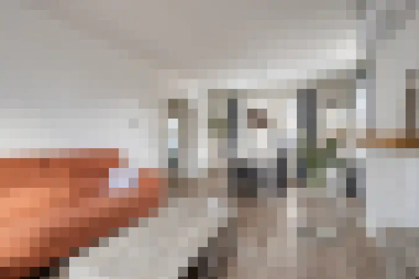 Geneinde 48 Maastricht thumbnail 9