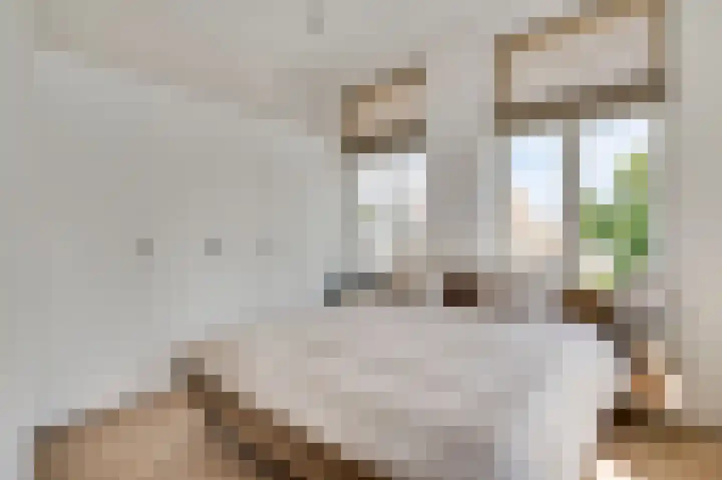 Geneindestraat 25 E Valkenburg thumbnail 10